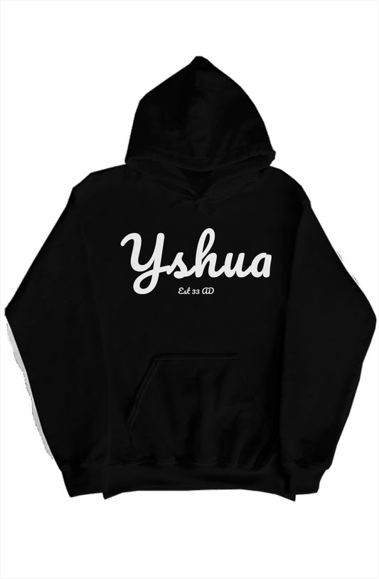 Yshua pullover hoody