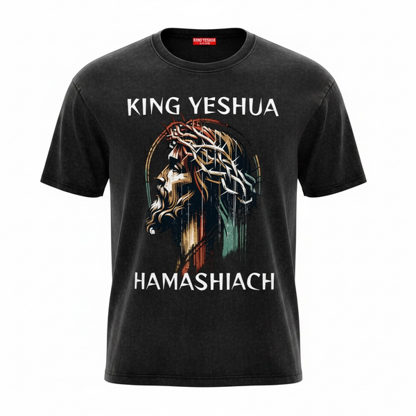 Hamashiack-Snow Washed Oversized Cotton T-Shirt
